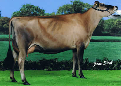 Bluegrass Remakes Blackest Blonde